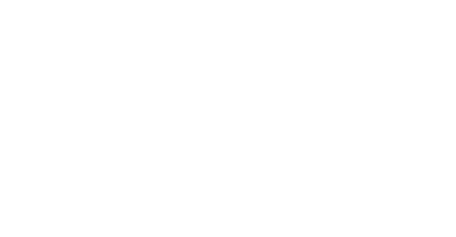 Pragmatic Washington